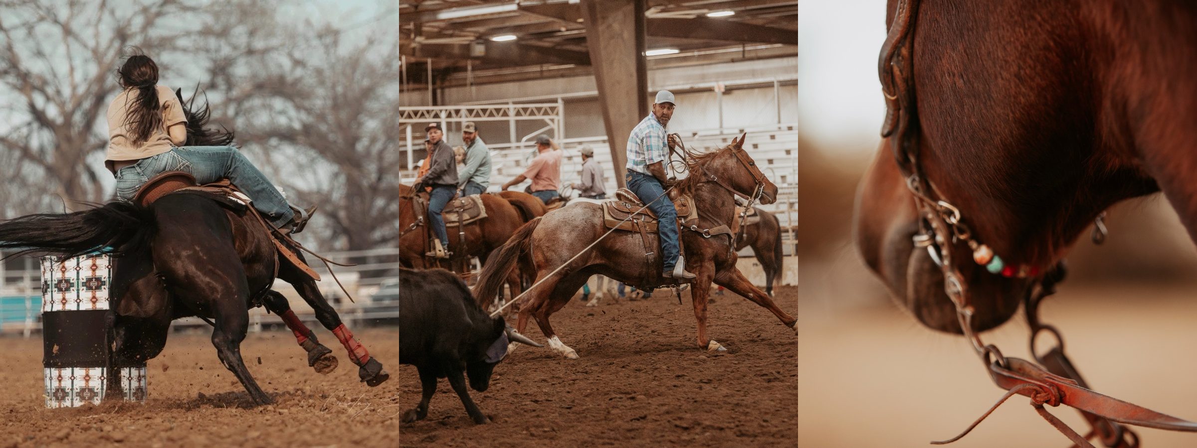 Performance horses competing in barrel racing and roping alongside tack detail